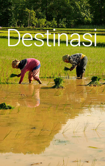 Tentang Konsultasi